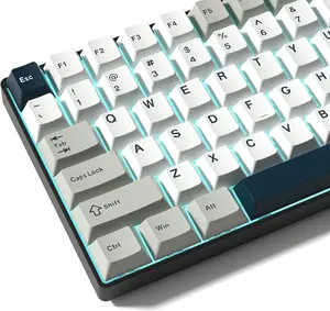 Womier PBT Keycaps Set, Doubleshot Keys Cherry Profile Custom Keycap for 61/64/68/84/87/100/104/108 Mechanical Keyboard