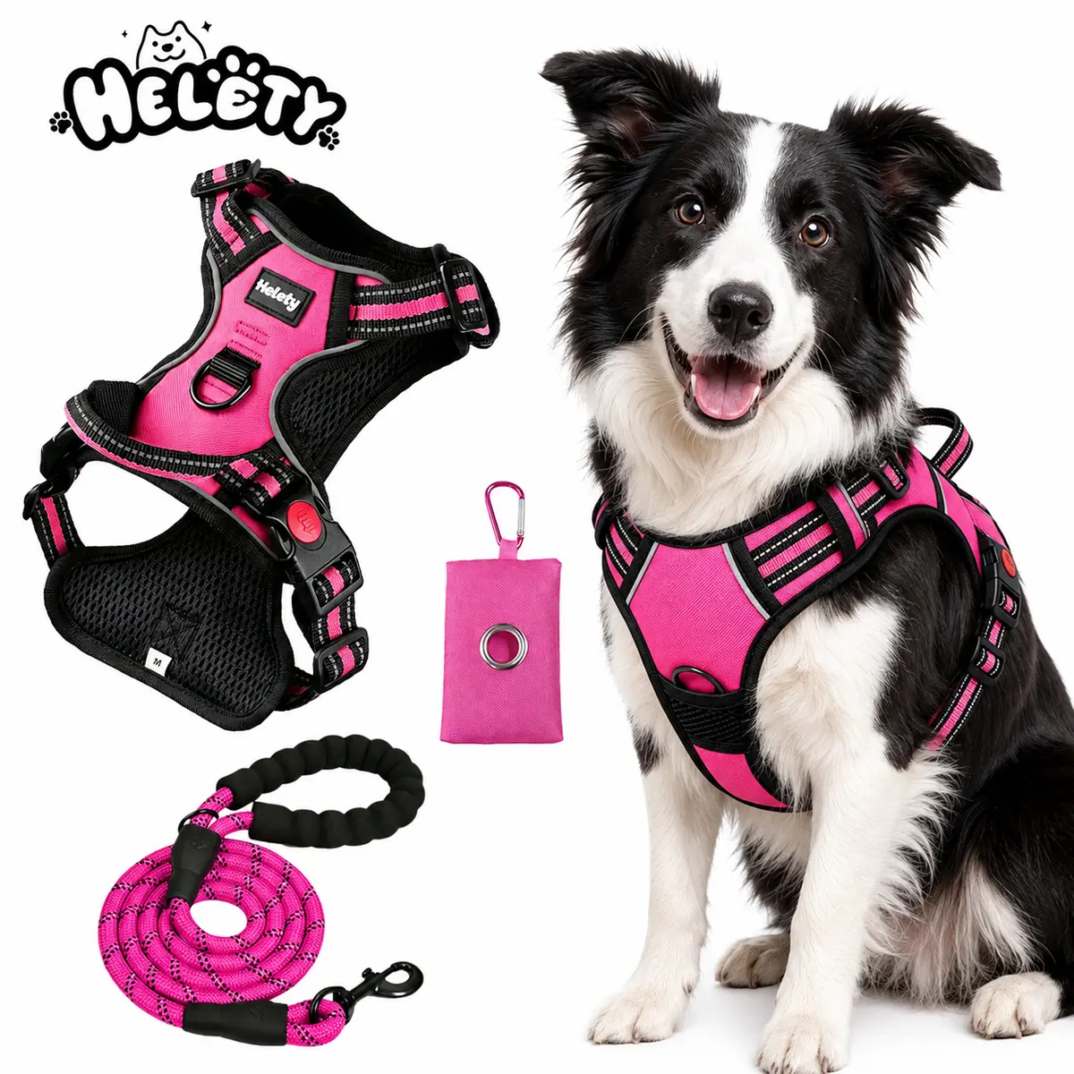 Helety Multi-Size Comfort-Fit Dog Harness & Leash Set - Vest-Style Chest Harness, 1.5m Bungee Lead, Poop Bag Hold, Santa Print Soft Collar, No-Tangle, Easy Walk, Customizable Leather, Iyoshop Sohochic for Everyday Walking, Three-Pieces