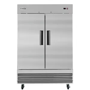 54 in. Two-Door Reach-In Freezer 47 cu ft. RIF-2D-SS
