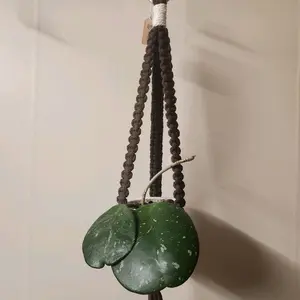 Brown Flat-Style Macrame Plant Hanger with Gold Ring for 2 Inch Pots - Hangable Organizer for Home Decor