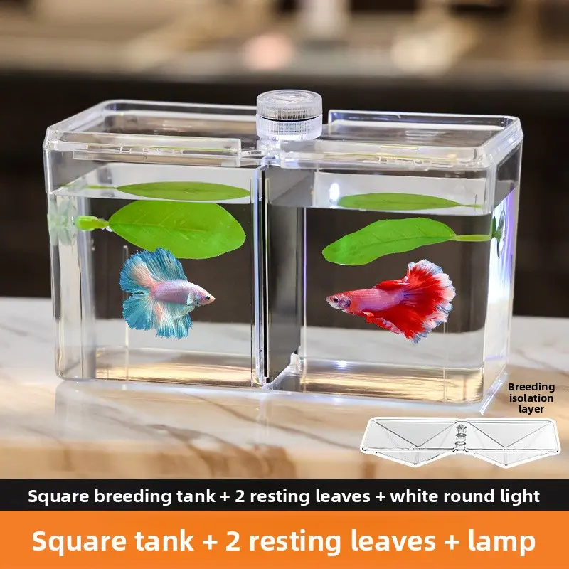 Breeding tank + 2 resting leaves + light