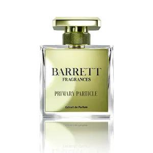 Primary Particle Inspired by Molecule 01