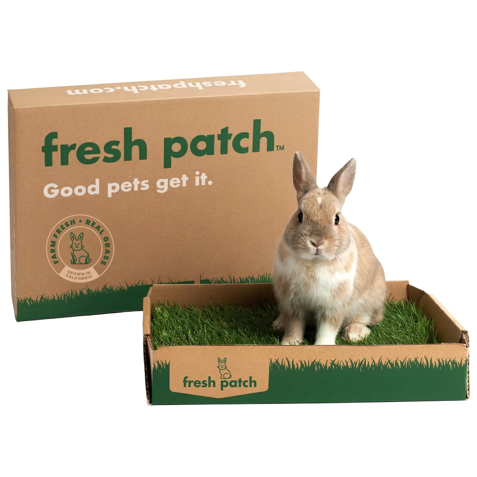 Rabbit Patch - Farm Fresh Grass Pad (Mini)