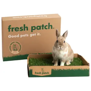 Rabbit Patch - Farm Fresh Grass Pad (Mini)