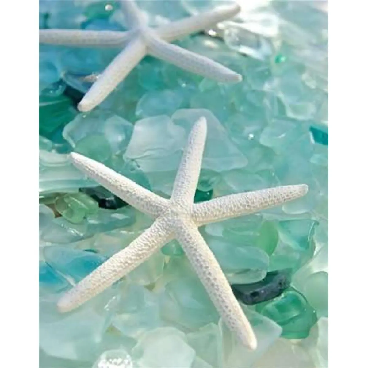 Seaglass 1 Poster Print by Alan Blaustein, 11 x 14 - Small