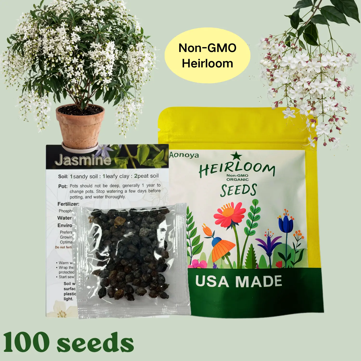 indoor jasmine plant - TikTok Shop