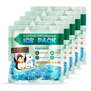 5 Packs Reusable Ice Packs for Lunch Boxes - 12+ Hour Cooling Ice Gel Pack for Camping, Beach, Office - Ice Packs for Cooler Bag, Cooler Backpacks Traditional