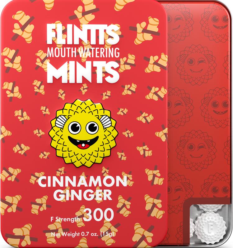 Flintts Mouth Watering Mints Wild Variety 4 Pack- Mint, Strawberry Magic, Lemon, Cinnamon Ginger - Natural Flavors, Sugar-Free & Vegan, Dry Mouth Mints