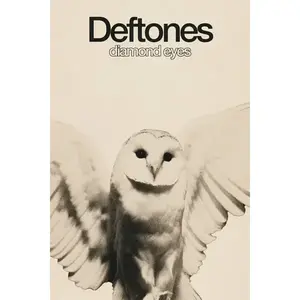 Deftones 'Diamond Eyes' Poster V2 Home Decor (Unframed)