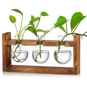 Wooden Plant Holder without Plant, 1 Count Creative Glass Vase with Wooden Stand,Desktop Plant Holder, Modern Plant Pot for Home Office Desktop Decoration，Ideal Gift For Her