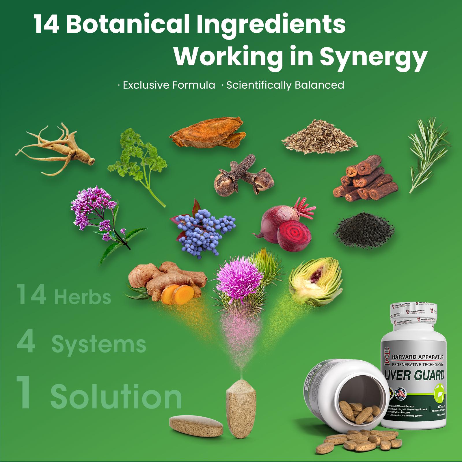 Liver Cleanse Detox & Supports - Natural Liver Support Supplement,Ingredients with Milk Thistle and Dandelion Root,Daily Support and Detox