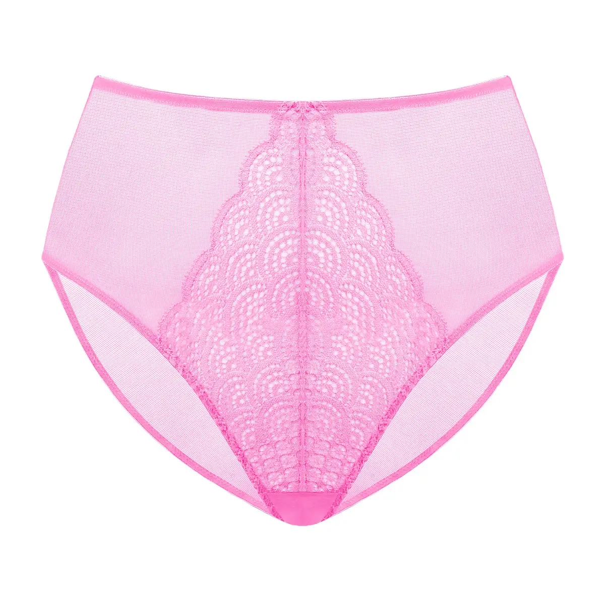 Mermaid Scales Lace Sheer Mesh Back High-Rise Brief Underwear Matching Panty