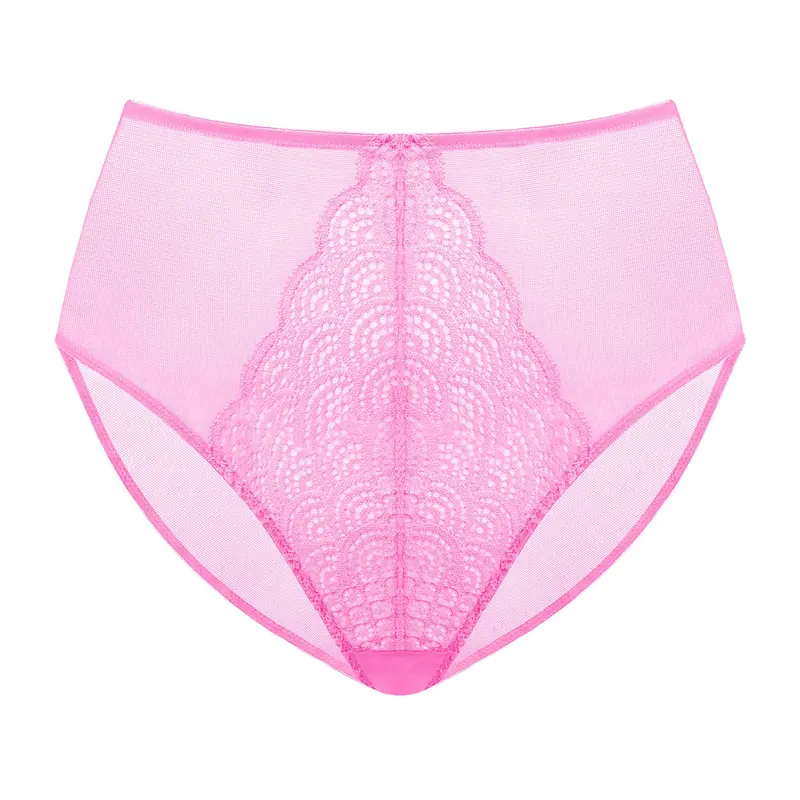 Mermaid Scales Lace Sheer Mesh Back High-Rise Brief Underwear Matching Panty