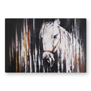 Begin Home Decor C1MP2030ND60CV 20 x 30 in. White Horse in the Dark - Metal Print Wall Art for Home Decor
