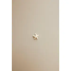 Mini Off-White Starfish Charm