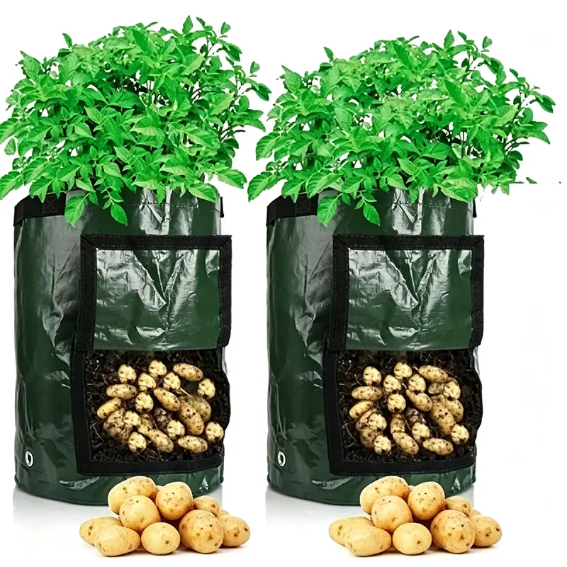 2-Pack 10-Gal Dark Green Potato Grow Bags, Garden Planting Bags with Flap Windows & Handles for Potato, Onion (Pet Supplies Fish & Aquatic Supplies Water Treatment Compatible)