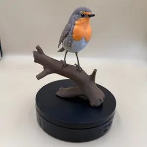 European Robin