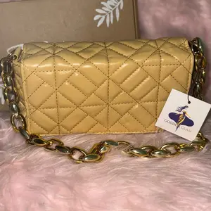 Gold Clasp Handbag with Chain Strap and Quilted Design