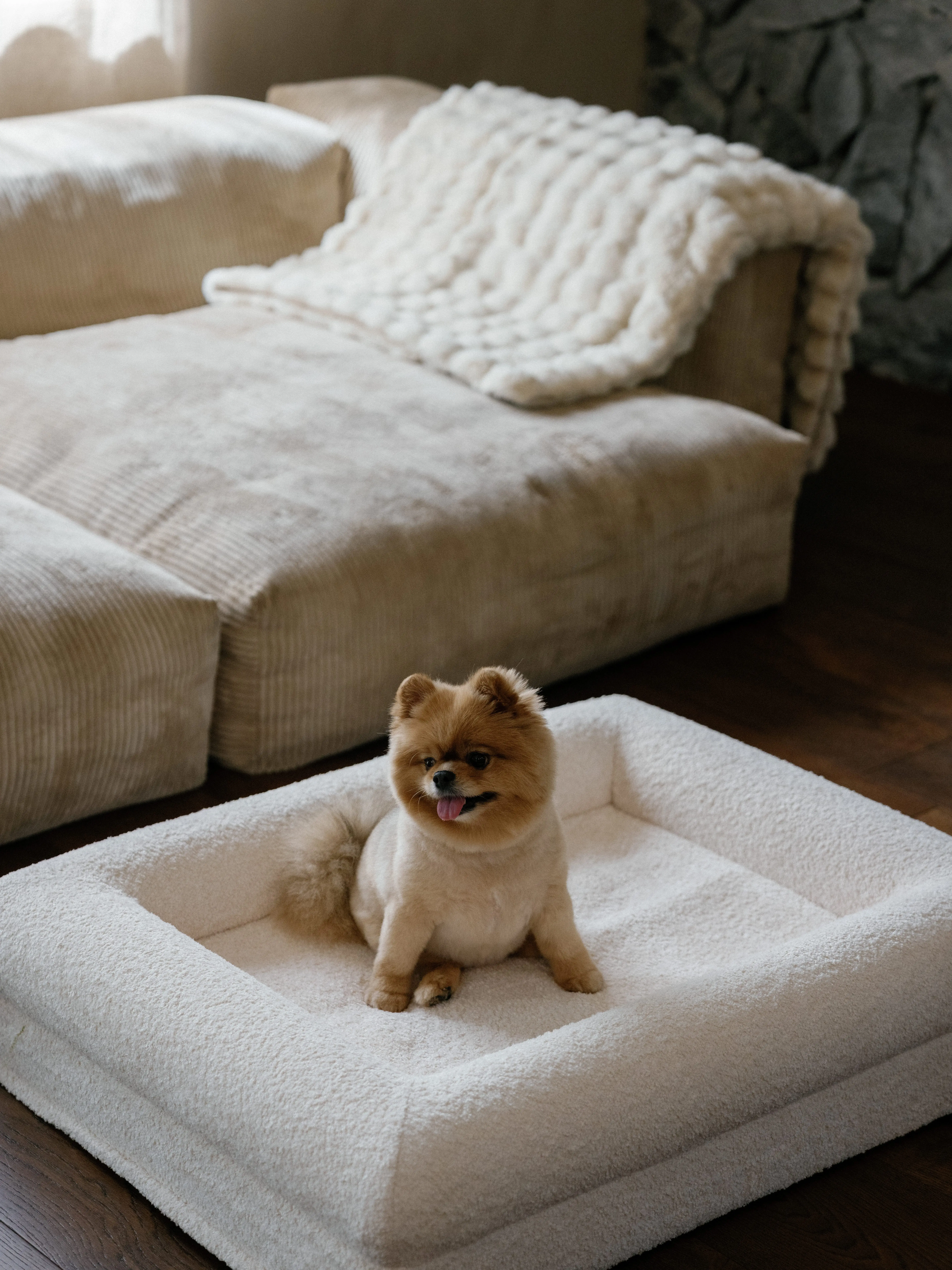 KOZY Luxury Orthopedic Dog Bed, Crème Woofle, Medium Size Pet Bed for Dogs