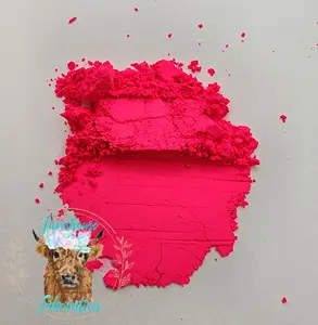 "Scandal" Hot Pink Mica Pigment Powder 10g jars / Mica Powder
