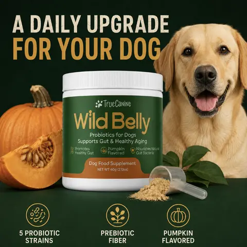 TRUECANINE Wild Belly Dog Probiotics for Gut Health, Itchy Skin & Shedding - 8.75B Spores, Pumpkin Flavor, 30-Day Supply