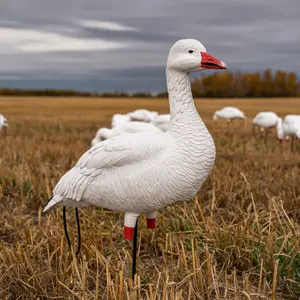 FB Snow Goose Full Bodies