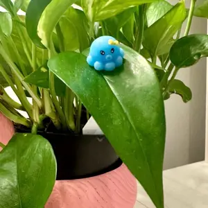 PetalPals - Plant Magnets Decor Gifts , stocking stuffers, plant accessories, secret Santa, birthday