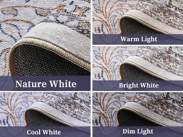 VIPfree Retro Bohemian Area Rugs 2*3FT, Non-Slip Foldable Washable Rugs for Living Room, Entryway, Bedroom, Kitchen and Corridor, Non Shedding