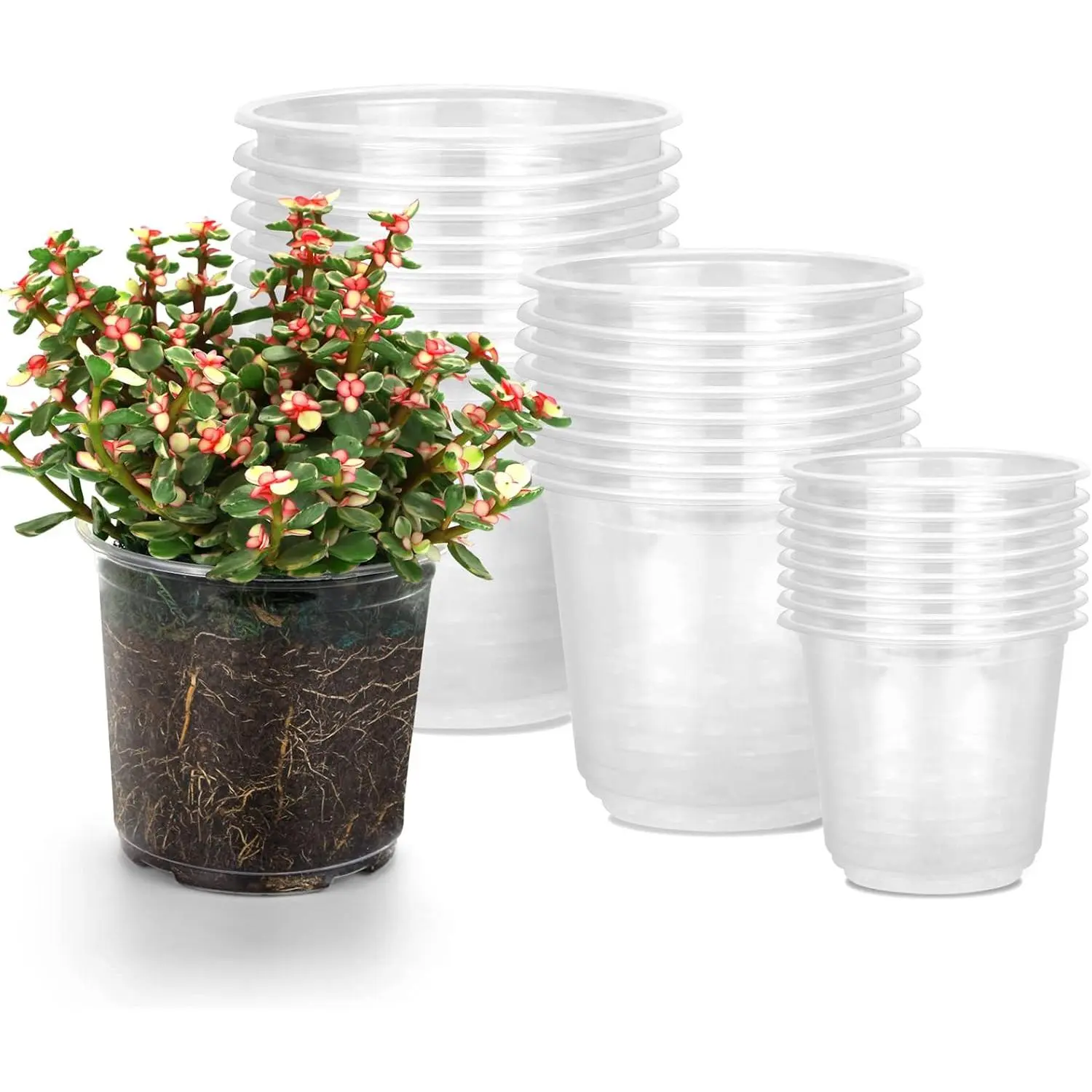 24 Pack 6/5/3.5 Inch Clear  Pots with Drainage Holes, Transparent  Pots Variety Pack, Flexible Plastic  Pots for , Garden Flower Pot