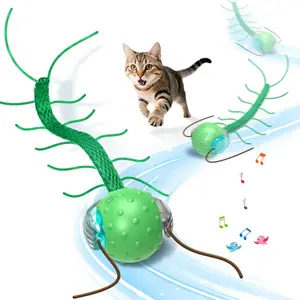 Boring cat interactive cat toys, equipped with a super motor cat ball that can make chirping sounds and mimic centipede movements, placed on the carpet.