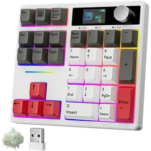 TD31Pro Mechanical Number Pad,Bluetooth5.0/2.4G/Type-C  Numeric Keypad,RGB HotSwap Numpad with Screen&Knob,PBT Keycaps Rechargeable Gasket Number keypad for Working/Gaming(White-Grey)