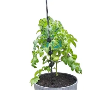 Homesteader Kit for Indeterminate Tomato Plants - Heavy Duty Support Rings & EZ Step-In Post, Customizable for Healthy Growth, Made in USA