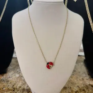 Cadena Mariquita Sólida 10K