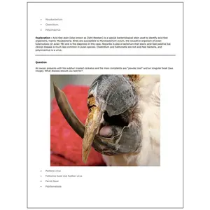 Ultimate Avian and Exotic Pets NAVLE Questions with Answers Bank for NAVLE Prep - Comprehensive NAVLE Prep Guide - 534 Pages