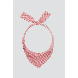 Red Gingham Bandana