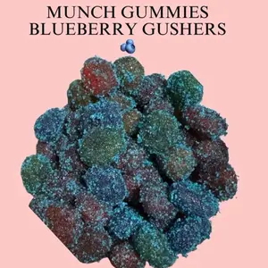 Munch Gummies ~ Blueberry, fruit, Guish