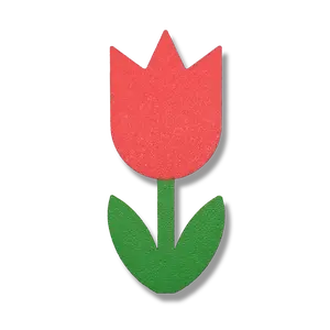 Tulip