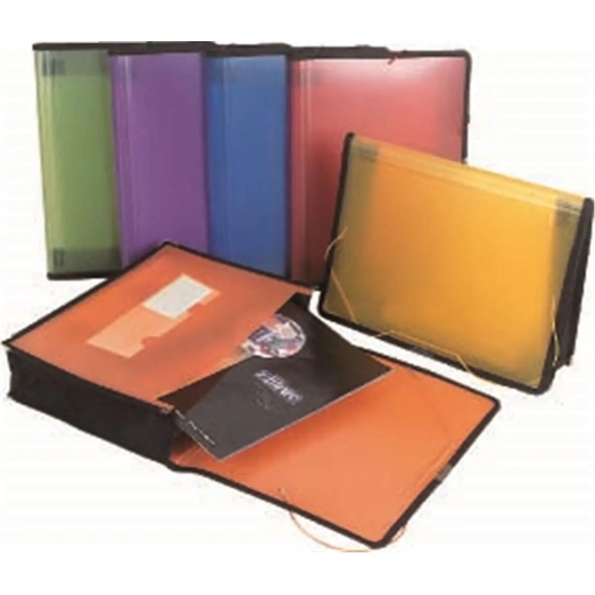Filexec Expandable File Folder - 6-Pack, Single Pocket, Letter Size, Assorted Strawberry/Lemon/Blueberry Designs, for Office Filing Cabinet Use