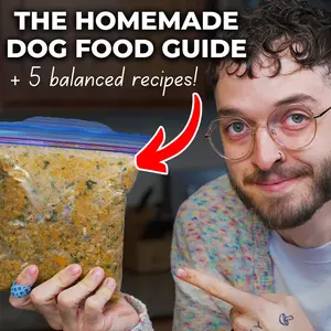 The Homemade Dog Food Guide + 5 Recipes The Homemade Dog Food Guide + 5 Recipes