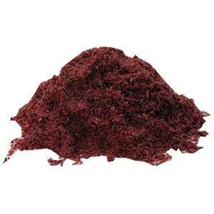 212 MAIN Oil-Based Sweeping Compound - 50 lbs Weight, Sand Grit, Unscented, Red