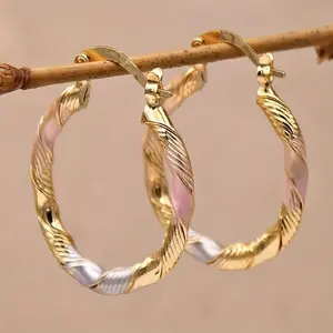 New Fashion Twisted Hoop Earrings Colorful Round Design Women Jewelry Must Have Trendy Gift for Her