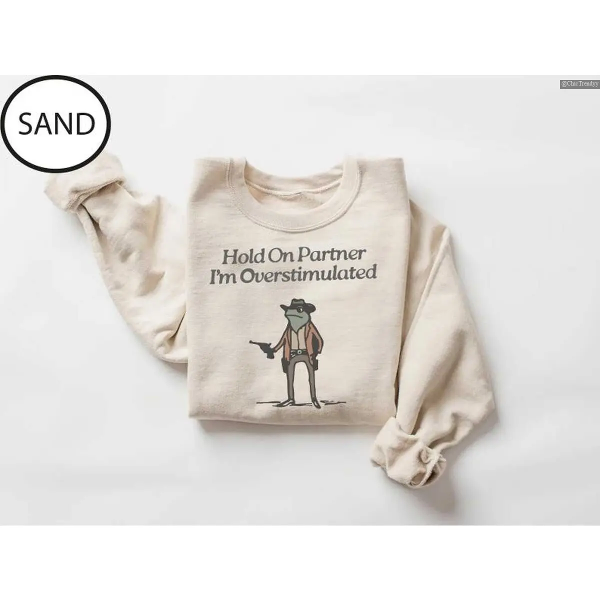 Hold On Partner Im Overstimulated Sweater, Hoodie, Tee, Cowboy Frog Unhinged Shirt, Cute Animal Sweatshirt, Funny Frog Shirt , Chic Shirt