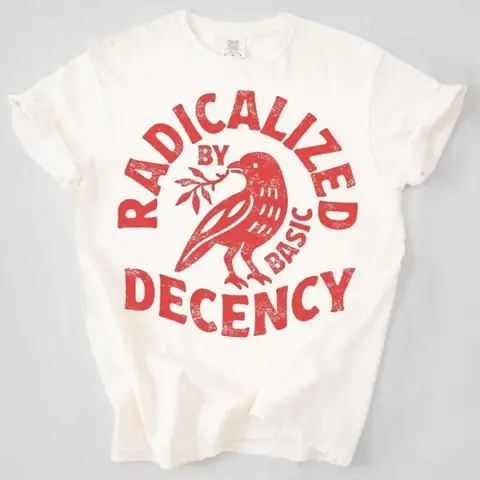 Unisex 100% Cotton Vintage "Radicalized By Basic Decency" T-shirt - All Seasons, Digital Print, Classic Fit, Unisex Fit, Easy to Style, Political Protest Apparel, Feminist Activist Gift, Liberal Social Justice Gift (Sizes M-5XL)