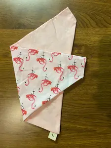 Flamingos