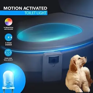 Pet  Night Light with Motion Sensor, 16 Color Changing LED Gadget for Bathroom Accessory Decor, Cool Gag Stuff for Men, Kids, Birthday