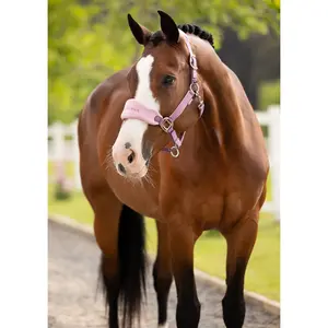 IT08336 LeMieux Vogue Headcollar Halter & Lead Rope Set - Mallow