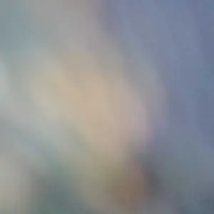 review image 10