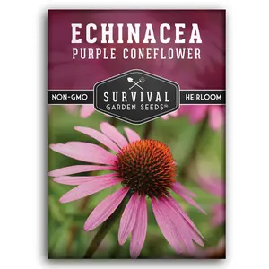 Purple Coneflower Seed - Echinacea purpurea