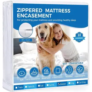 Queen Mattress Protector Zippered-6-Side Waterproof Queen Size Mattress Encasement-9 Inches Deep-Wrapping Box Cover Low