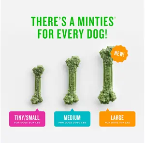 MINTIES Dog Dental Bone Treats, Dental Chews for Small / Medium / Large Dogs